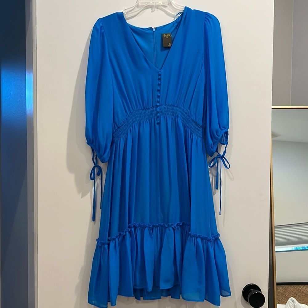NWOT Taylor Sheer Sleeve Smock Waist Dress
